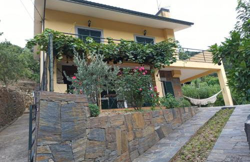 Vineyards Valley House - Foto 1