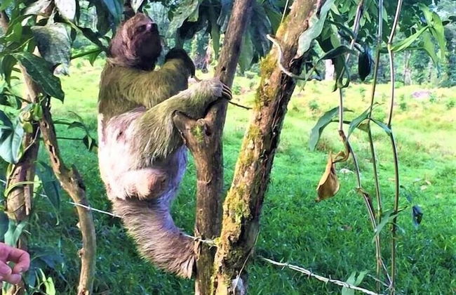 Casa Sophia - Foto 56