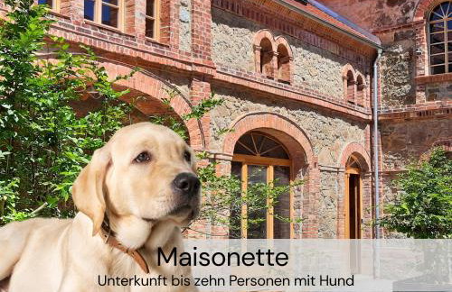 HexenburgbeiDresden Maisonette über 2 Etagen mit 4 Schlafzimmern, Kamin, Terrasse und Faßsauna, Nähe Sächsische Schweiz Dresden - Foto 7