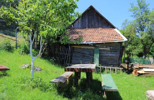 Apartments for families with children Perusic (Velebit) - 17540 - Foto 9