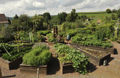 Lehmhof-Lindig - Foto 23