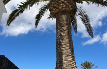 Sombra de Guanapay - Foto 34