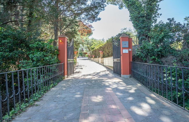 Buen Camino SSA - Foto 27