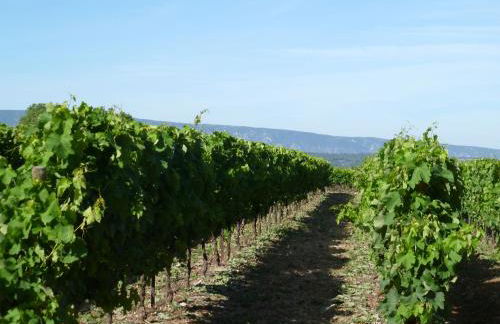 Luberon & Lavandes - Foto 27