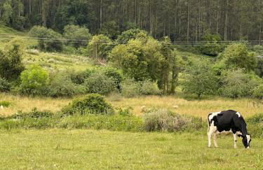 Casa vacacional Escuela la Llera - Foto 47