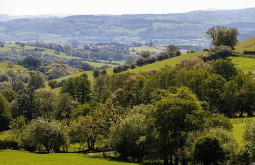The Shire Luxury Converted Horse Lorry with private hot tub Cyfie Farm - Foto 10