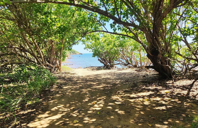 Beachfront Studios - Photo 71