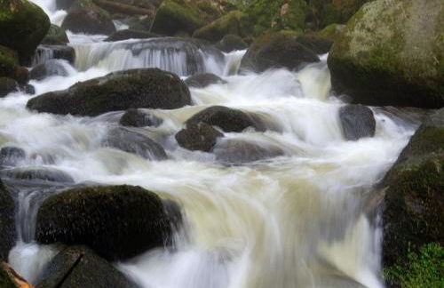 Biber Lodge - Foto 21