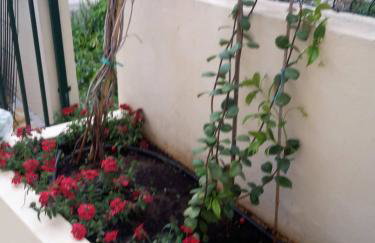 Apartments Punta Milna - Photo 44