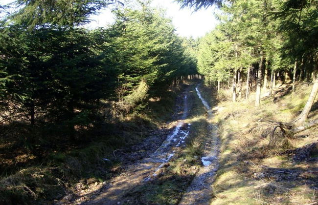 Holiday Home Le Fournil in Manhay With Garden - Photo 32