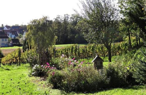 Zum Rebberg Ferienwohnungen - Photo 10