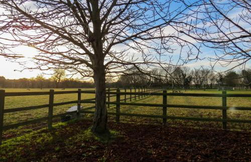 Appletree Cottage Fressingfield - Foto 9