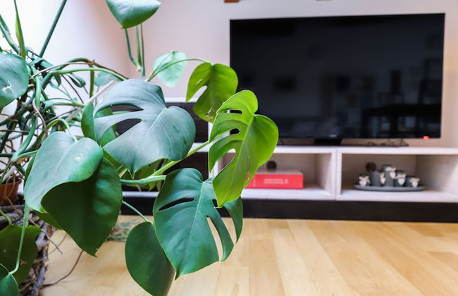 Italianway - Colombo 4 - Foto 31