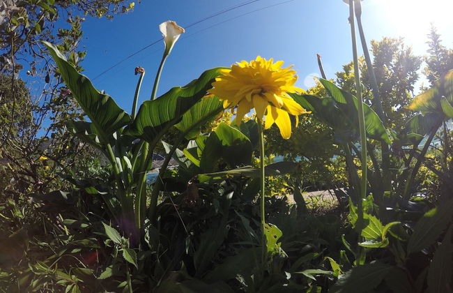 Shannon Rise Holiday Home - Foto 20