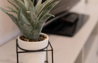 Alloggio Viola - Gionic Apartments Bologna - Photo 13