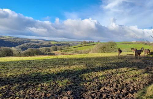 Pennycombe Cottage, Westerclose, Withypool - Foto 13