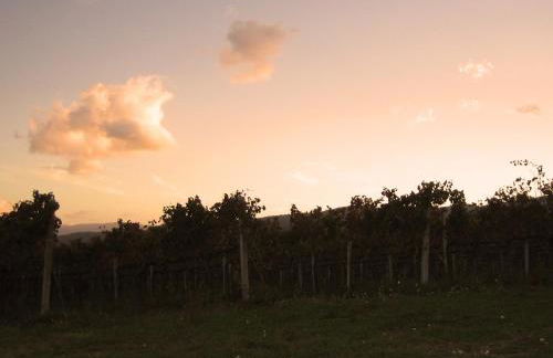 Agriturismo Il Mulino del Vescovo - Foto 54