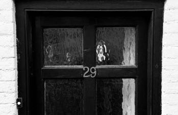 Pretty Cottage in Harleston, Norfolk, dog friendly - Photo 7