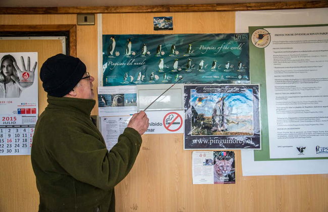 Excursión a la isla Tierra del Fuego - Foto 7