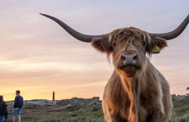 Beautiful Detached Holiday Home in Park - Foto 46