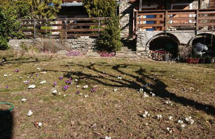 Casa delle Rose - Foto 23