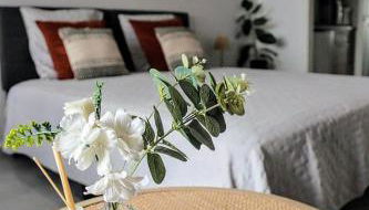 Séjour idéal Zoo de Beauval & Châteaux - Foto 5