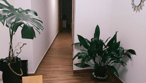 Vivienda rural el gobernador - Foto 3