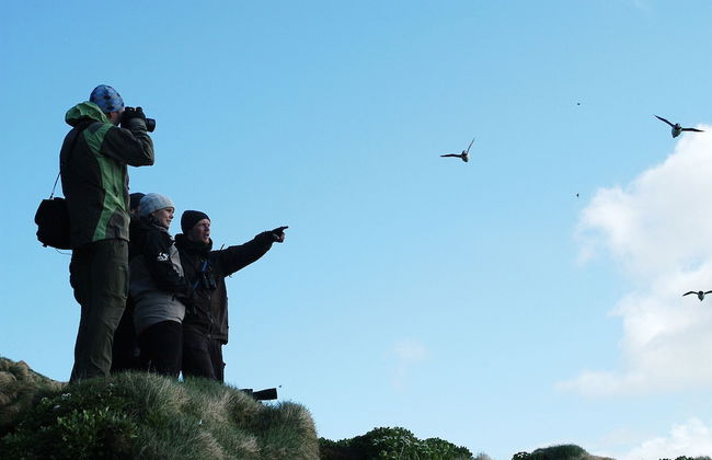 Ekker Island Arctic Lodge - Photo 53