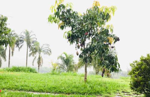 Chácara das Palmeiras - Piscina, Churrasqueira e Campo - Foto 36