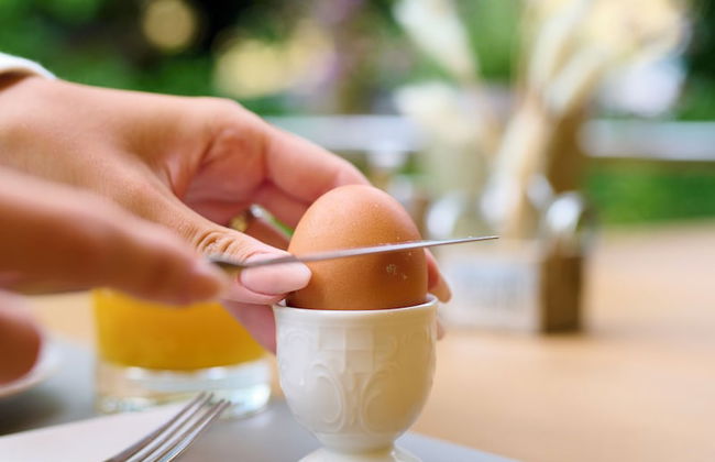 Ferienwohnungen - Appartements Pension Zollner - Foto 38