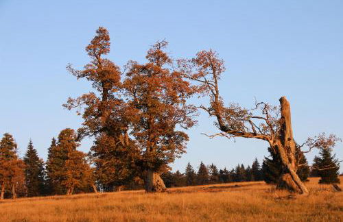 Haus Margarete & Landhaus Karin - Foto 19