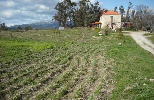 Quinta da Alma Cheia - Foto 50