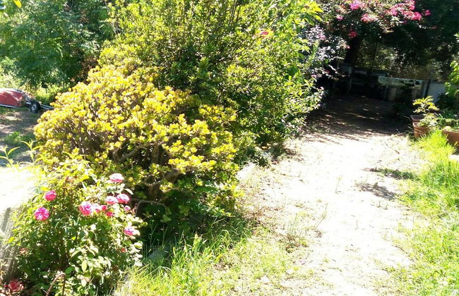 Always on Foot 3 min to the Beach Center With Double Terrace - Photo 39