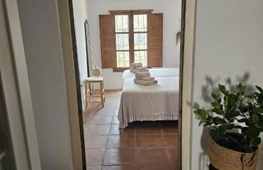 Cortijo J&S Juan Salvador - Photo 65