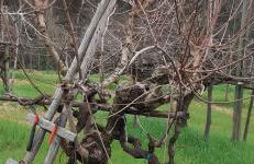 La Casa di Colle - Foto 37