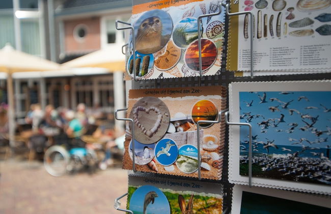 Holiday Home in Egmond by the Beach - Foto 33