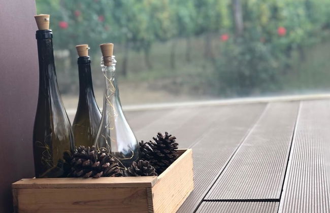 Vald'arêgos Douro Turismo Rural - Foto 2