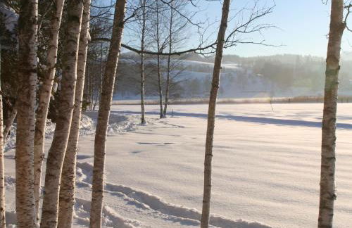 Ferienwohnung Vitalis - Foto 11