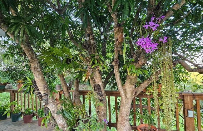 Casa Colibri - Foto 26