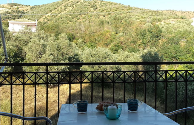 Anemos studios - Foto 13