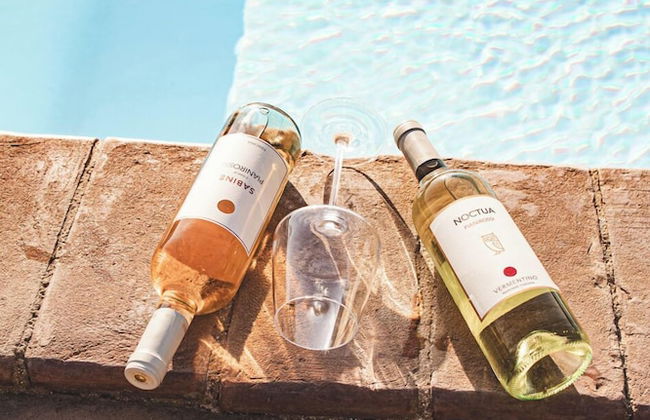 Tenuta Pianirossi - Photo 70