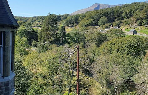 Plas Penaeldroch Manor - Foto 18