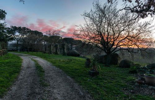Agriturismo il Poggio - Foto 42