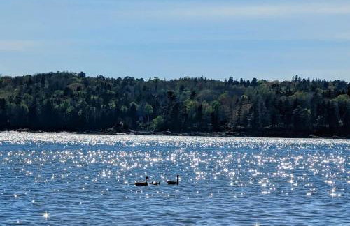 Frenchman Bay Oceanfront Getaway - Foto 48