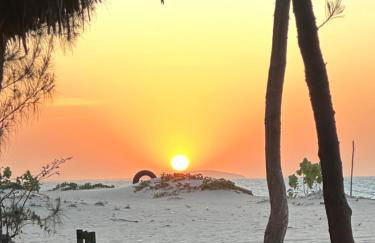 Kza da Paty Preá dEla - Foto 31