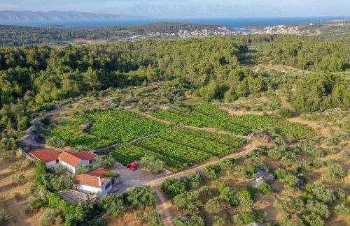 Holiday house with a parking space Pitve, Hvar - 17397 - Photo 1