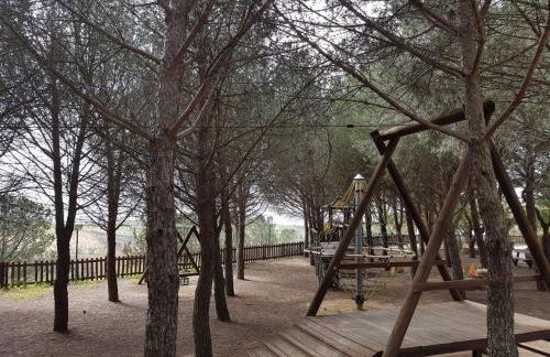 Agriturismo Il Drago - Foto 41