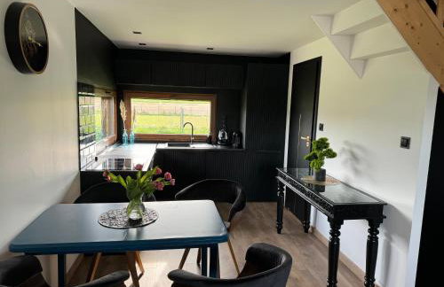 Lazurowy Azyl Borzygniew - Photo 4