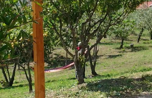 Zefiro Casa Vacanze - Foto 69