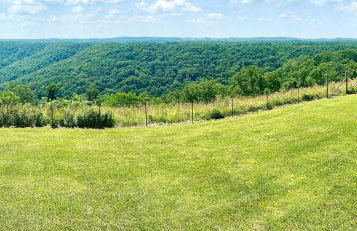 Henbest Hideaway Cabin Boston mountains -Millcreek - Foto 12